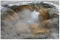 Yellowstone