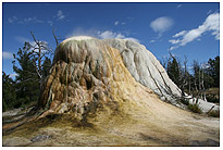 Mammoth Hot Springs