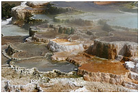 Mammoth Hot Springs