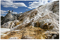 Mammoth Hot Springs