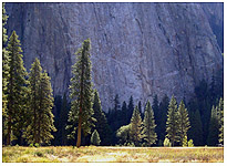Yosemite NP
