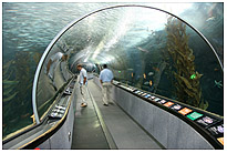 Meeresaquarium am Pier 39